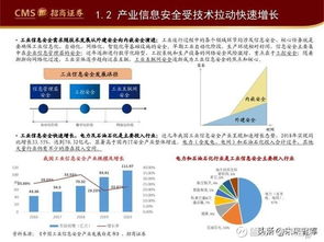 互联网安全行业发展趋势专题报告 安全服务引领数字化时代的新防线
